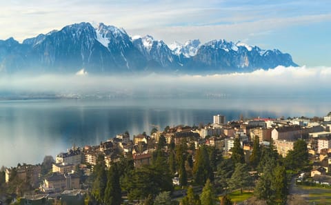 Guided Walking Tour of Montreux's Culture and Scenery