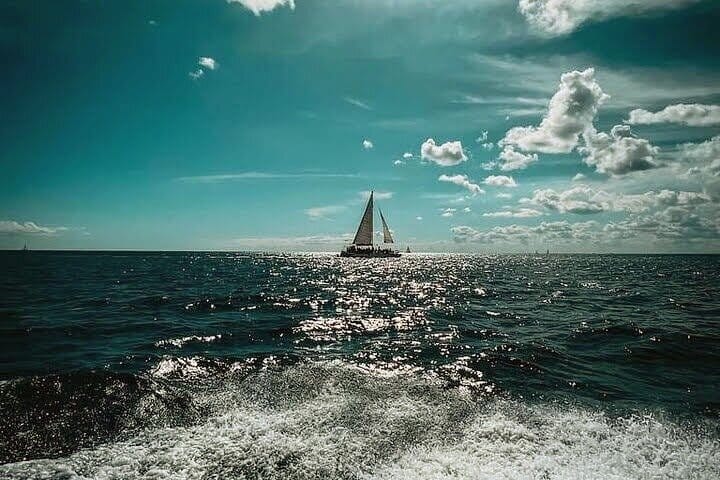 5 tours in 1 (Eco Farm/Horseback/City Tour/Buggy/Zipline)