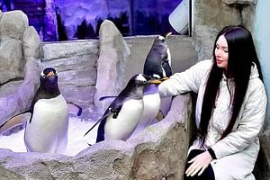 Dubai Aquarium & Underwater Zoo + Penguin Cove Entry Tickets