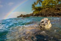 Costa Rica Catamaran Snorkel Kayak Paddleboard & Drinks 9