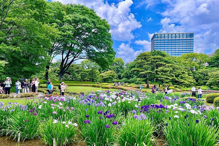 Tokyo Private Tour of the Imperial Palace East Gardens