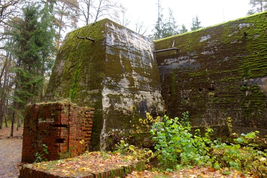 Wolf's Lair Adolf Hitler's World War II HQ - One Day Tour from Warsaw