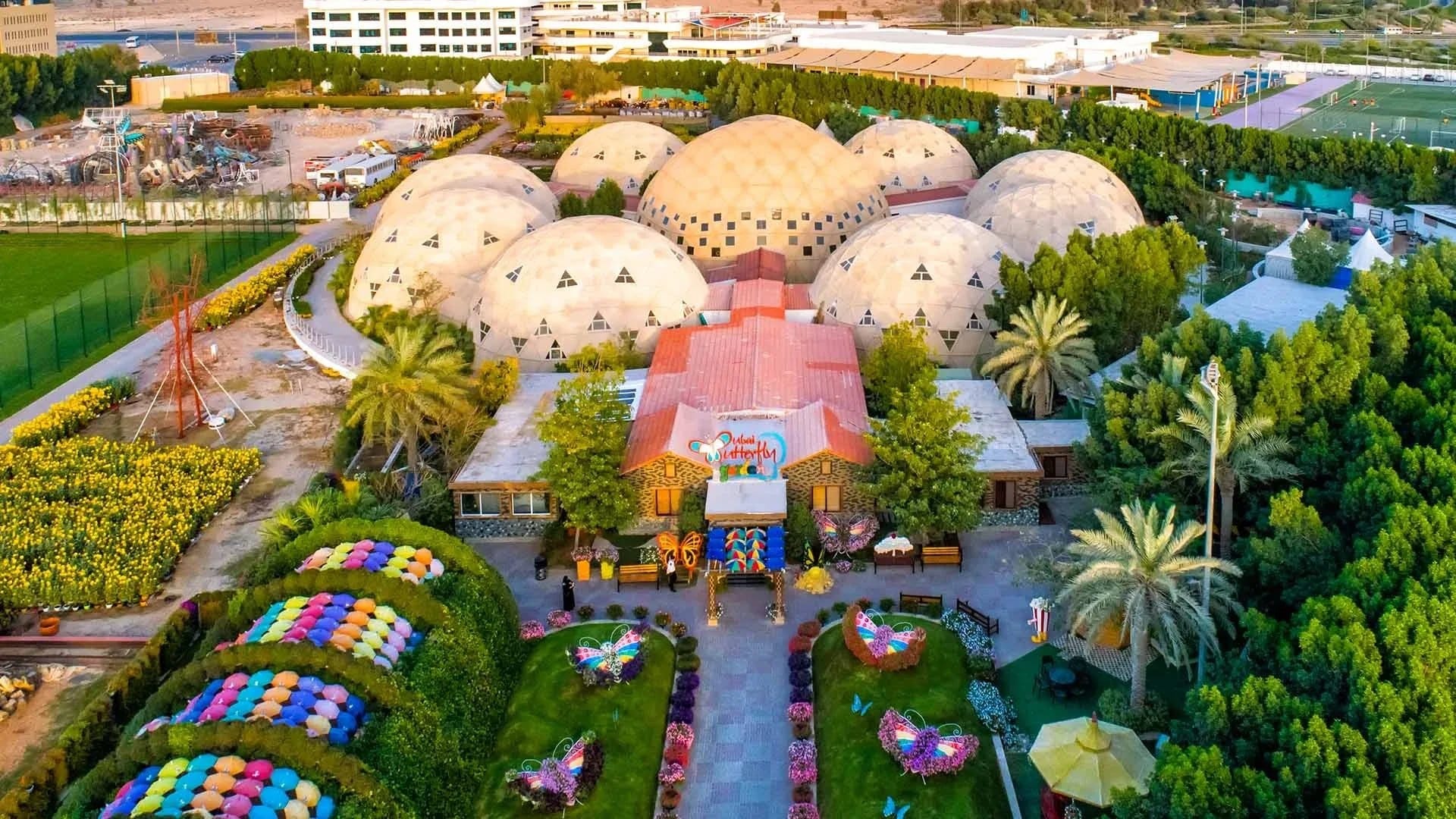 Dubai Butterfly Garden Tickets