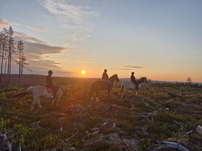Midnight sun riding to the hill 2h