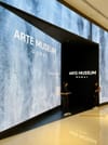 Dubai Arte Museum: The Soul of Modern Art 5