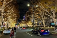 2-Hr Tokyo Night Bike Tour: Shibuya, City Lights & Tokyo Tower 8