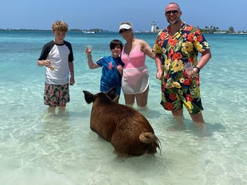 Swim with the Pigs Safari in Bahamas (2hrs)
