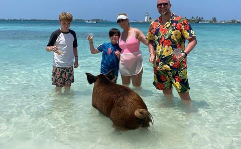 Private 4-Hour Dolphin and Snorkeling Tour in Nassau, Bahamas