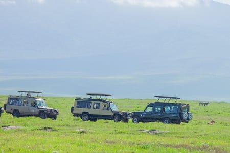 Tanzania Classic Safari 3 Days / 2 Nights
