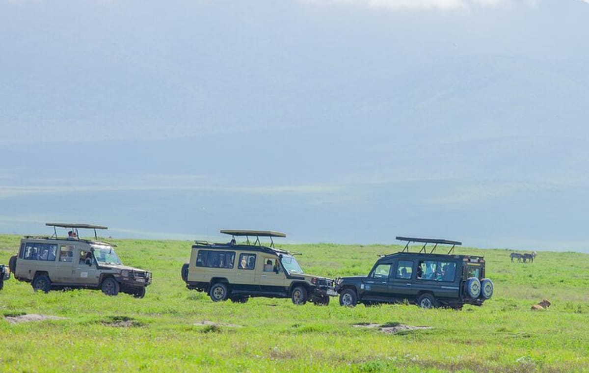 Tanzania Classic Safari 3 Days / 2 Nights