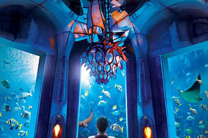 Atlantis Lost Chambers Aquarium Ticket