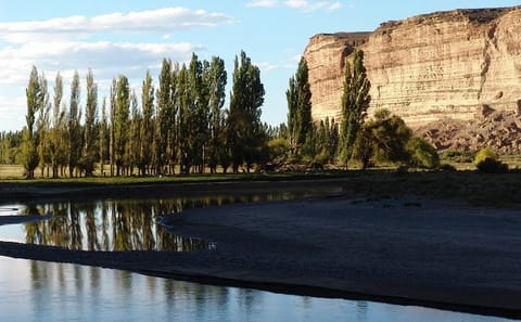 Chubut River Valley and Gaiman Welsh Village Tour from Puerto Madryn