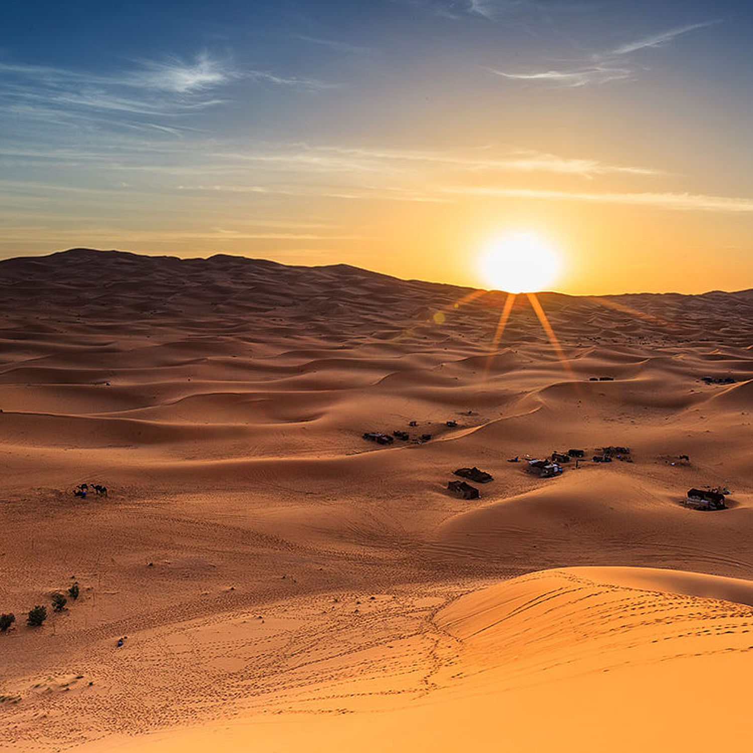desert safari from abu dhabi