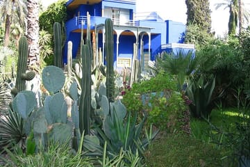 Majorelle Garden, St Laurent,Berber Museum Round-trip & Tickets