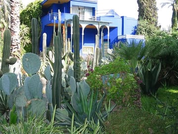 Majorelle Garden and Berber Museum Tour in Marrakech