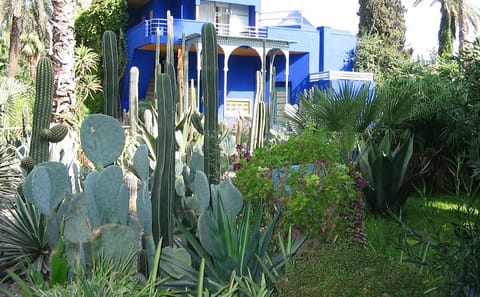 Majorelle Garden and Berber Museum Tour in Marrakech