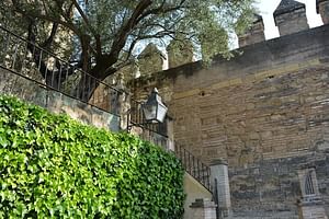 Cordoba Monumental Intensive Tour in Spanish Tickets included