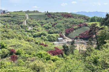 Hiking Tour to Baishuichong Waterfall and Yang E Trail from Shanghai
