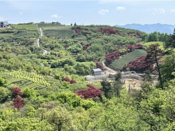 Shanghai: Baishuichong Waterfall & Yang E Trail Hike