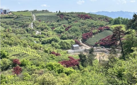Hiking Tour to Baishuichong Waterfall and Yang E Trail from Shanghai