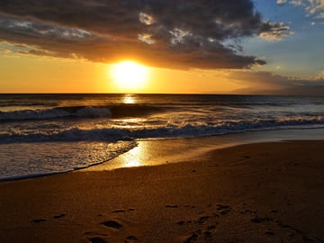 From Almeria: Cabo de Gata Natural Park Private Day Trip