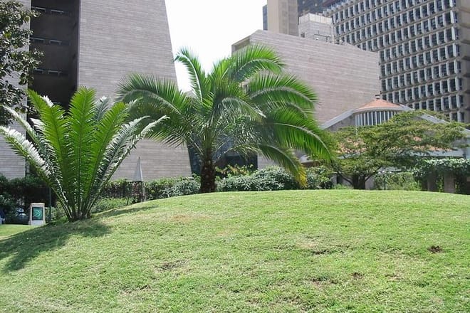 Garden in Nairobi