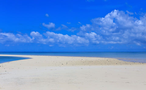 Marimbani Sandbank Tour, Mafia Island
