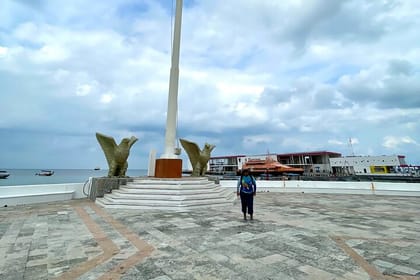The Cozumel Turtle Sanctuary Snorkel Tour