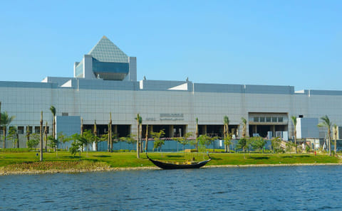 Private Tour of the National Museum of Egyptian Civilization and Cairo Citadel