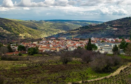 Troodos Vino Venture: Wineries and Villages Tour from Ayia Napa