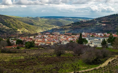 Troodos Vino Venture: Wineries and Villages Tour from Ayia Napa