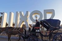 Delight in a 3-Hour Luxor Horse Carriage Tour 4