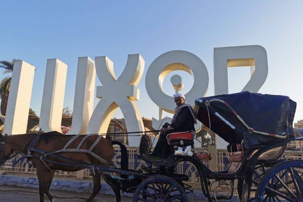 Delight in a 3-Hour Luxor Horse Carriage Tour 4