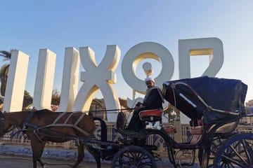 Explore Luxor's Historical Sights on a 3-Hour Horse Carriage Tour