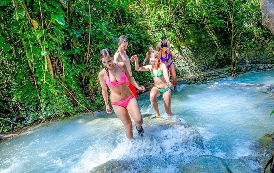 Dunn's River Falls and Luminous Lagoon Tour from Montego Bay