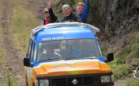 4x4 Adventure and Wine Tasting Tour in Campanario, Madeira