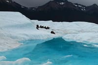 Perito Moreno Big Ice and Walkways With Transfer from El Calafate 5
