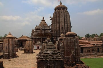 Bhubaneswar to Kolkata Tour through Mangroves and Wildlife