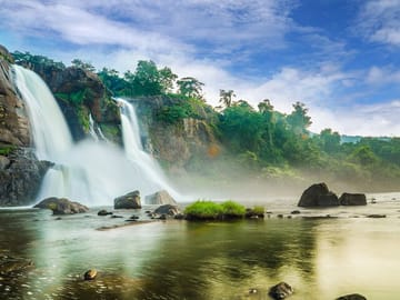 Athirapilly Waterfalls Day Trip from Cochin