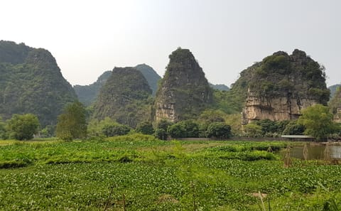 Ninh Binh Day Trip with Trang An and Dinh Pagoda Visit