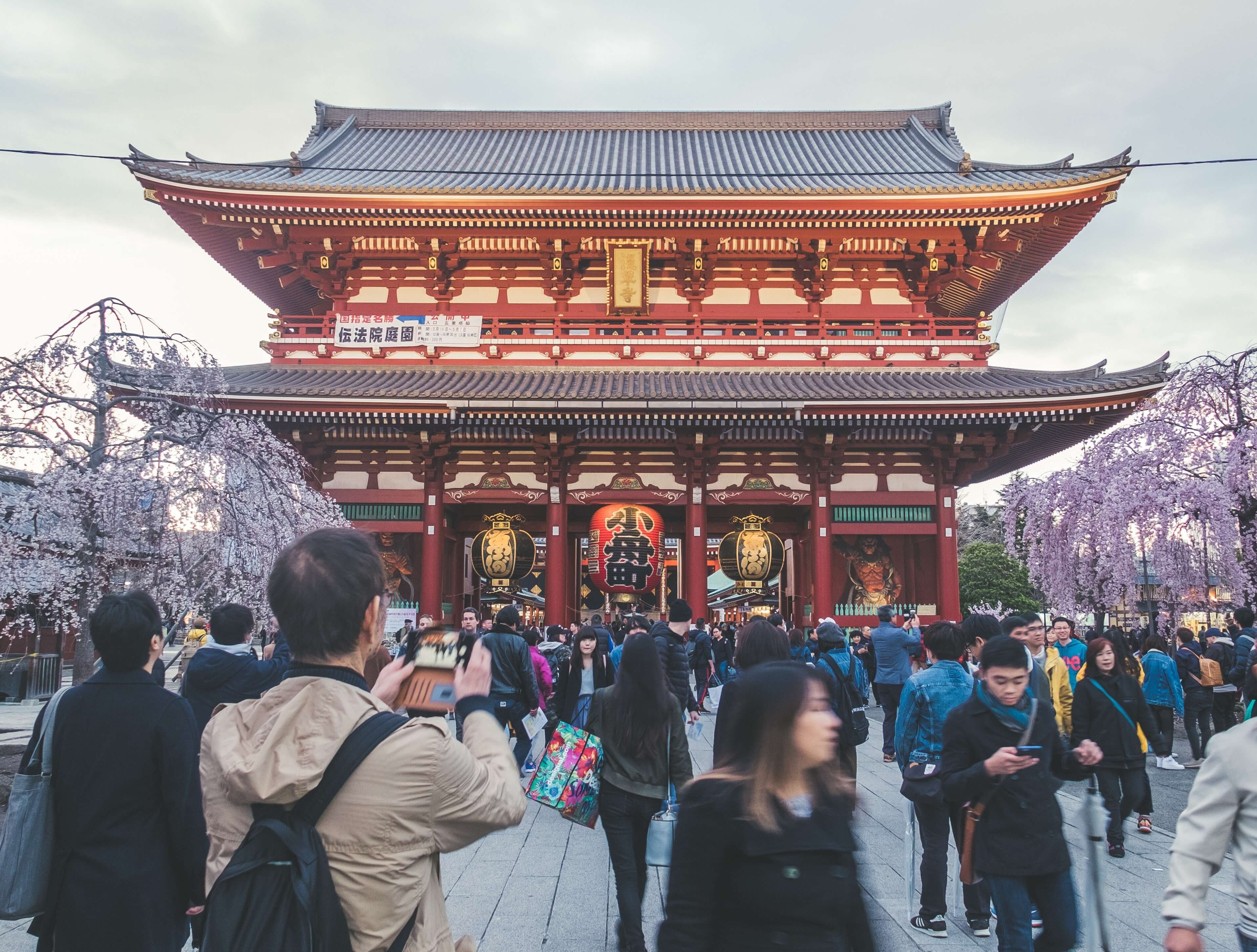 Tokyo Custom Day Tour