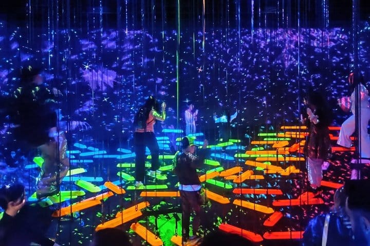 Tokyo TeamLab Planets Admission with Private Hotel Pick Up
