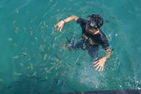 Koh Maa