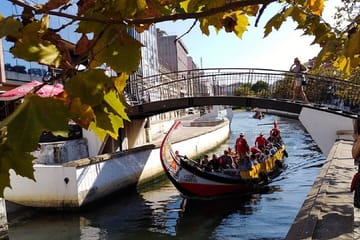 AVEIRO, NAZARÉ and OBIDOS: Private Tour from Porto