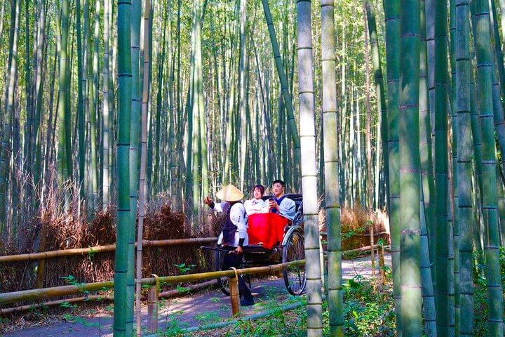 Kyoto Early Bird English Tour: Fushimi Inari, Arashiyama & Monkey