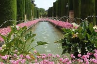 Gardens & Fortress of Catholic Monarchs Tickets & Guided Tour 8