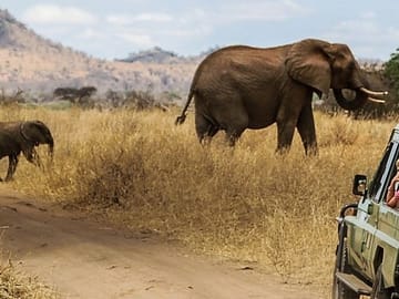3-Day Luxury Private Safari in Masai Mara, Kenya