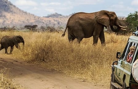 3-Day Luxury Private Safari in Masai Mara, Kenya