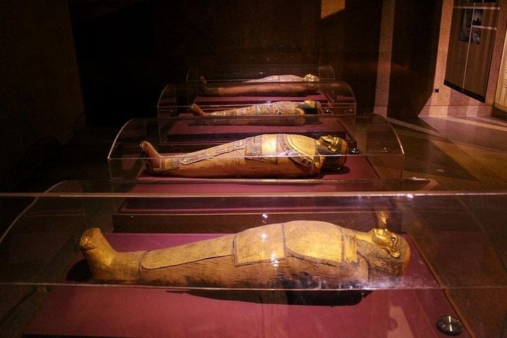 Private Tour To Aswan Nubian Museum & Nubian village by motorboat 2