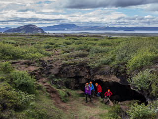Whale Watching & Caving, photo 9